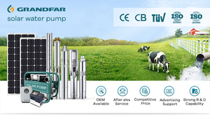 Bomba solar sumergible multietapa de alta presión Grandfar SQGD 0.8HP 600W con motor de alambre de cobre para irrigación agrícola exterior y agua limpia profunda - Product Image 5