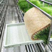 Conteneur de culture hydroponique intérieur 40 pieds/20 pieds pour fourrage – Équipement de culture de fourrage et d'herbe en conteneur maritime pour ferme