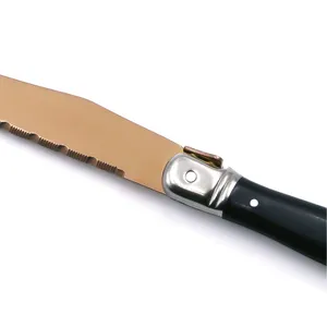 Coltello da bistecca Laguiole da taglio monopezzo di prima qualità con manico in ABS nero