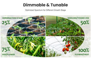 <span class=keywords><strong>Horti</strong></span> Spectra – lampe de croissance Led B900pro B600pro, Stock américain, Lm301b 301h Uv Ir 5x5, lumière de croissance pour plantes - Product Image 4