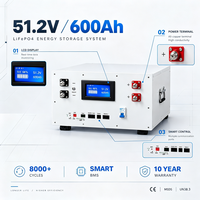 Unité horizontale de batteries lithium-ion 20 kWh 51,2 V 400 Ah avec prise en charge parallèle pour solutions énergétiques de grande capacité