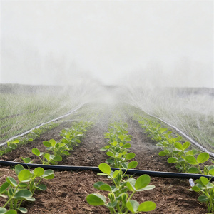 Tuyau d'irrigation plat en PE économique de 100 m, noir, diamètre <span class=keywords><strong>25</strong></span>-32 mm, économique et pratique pour les petites exploitations agricoles et les jardins - Product Image 2