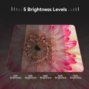 Apexel điệ<span class=keywords><strong>n</strong></span> thoại di động ống kính vòng ánh sáng Macro ống kính điề<span class=keywords><strong>n</strong></span> vào ánh sáng cho 37mm/52mm lọc/Máy ảnh ống kính - Product Image 6