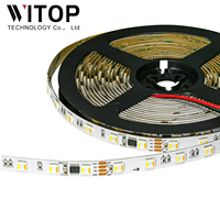 Bande lumineuse LED WS2805 RGBCW 5-en-1 RGBIC Dream Color pour maison intelligente, hôtel, armoire et éclairage d'ambiance
