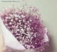 Kunming Hochwertige Günstige Großhandels-Trockenblumen Gypsophila für Hochzeits- und Heimdekoration