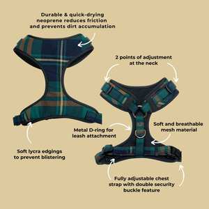 Arnés y Correa para Perro con Diseño de Flores, Juego de Arnés de Lujo Ajustable y Antitirones para Mascotas con Asa - Product Image 3