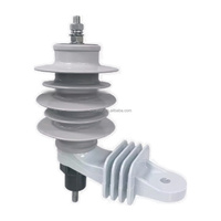 Parafoudre à oxyde de zinc en boîtier polymère 6,6 kV 10 kV YH10W-9 YH10W-10 pour distribution