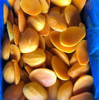 IQF Diepvries Mango Halves HALAL Gecertificeerd Premium Mango Diepvriesvruchten voor Verwerking & Groothandel