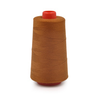 Fabrika 40/2 Yüksek Kaliteli Boyama Yüksek Dayanıklılık %100 Polyester Dikiş İpliği Düşük Çekme Yüksek Sıcaklık Aşınmaya Dayanıklı