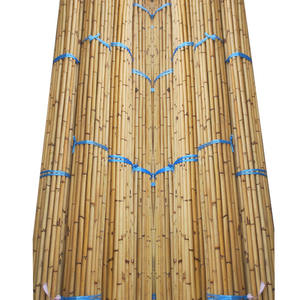 Meilleures ventes de cannes en rotin brut agricole de 3 m et 4 m / cannes en bambou pour meubles et artisanat - Product Image 4