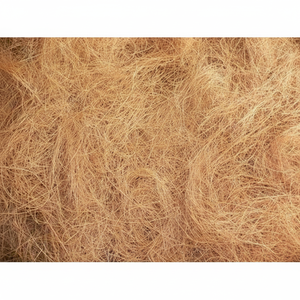 Fibre de coco / Fibre de coco pour matelas / Fibre de coque de noix de coco en 2020 - Product Image 1