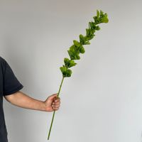 Tiges de verdure artificielle pour la décoration intérieure, plantes artificielles à tige unique de 90 cm, accessoires de photographie