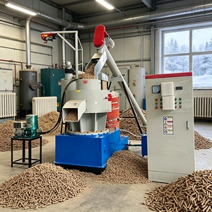 Nouvelle conception de machine à granulés de bois faite maison, machine à granulés de bois durable, petite machine à granulés de biomasse pour la maison - Product Image 1