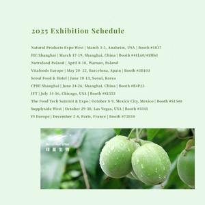 Toplu Gynostemma Pentaphyllum özü tozu 98% Saponins | Beslenme takviyeleri için Vegan dostu doğal bitkisel içerik - Product Image 6