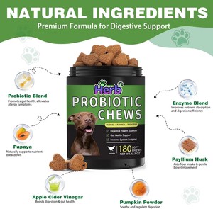 Golosinas Masticables Suaves de Marca Privada OEM/ODM, Golosinas Digestivas Prebióticas, Suplementos para la Salud Intestinal e Inmunológica, Golosinas Masticables para la Salud de los Perros - Product Image 3