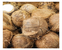 Éplucheur de coquille de noix de coco sèche commerciale 220V Husker Machine nouvelle condition dissolvant de peau brune pour les industries agricoles alimentaires