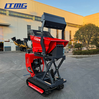 LTMG Brand New Design Carrier Petit camion à benne basculante 500kg High Lift Mini Dumper Truck hydraulique haute performance