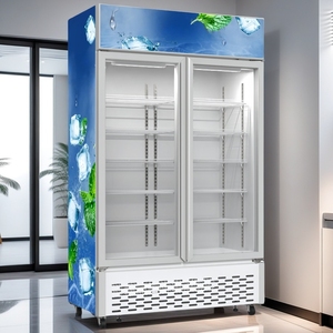 Réfrigérateur commercial à double porte pour boissons avec refroidissement par air, design fin, construction en acier - Product Image 1