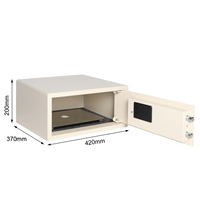 Coffres-forts muraux et de sol décoratifs modernes en métal du fabricant Boîte de verrouillage électronique secrète pour hôtel et bureau