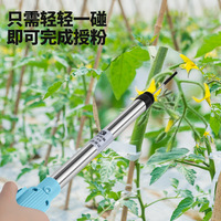 Vente directe d'usine Suchang SC-8701 : Pollinateur électrique de tomates avec pollinisation par vibration et longue autonomie (8-10 heures)