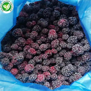 Framboises et mûres <span class=keywords><strong>bio</strong></span> fraîches <span class=keywords><strong>surgelées</strong></span> IQF, fruits <span class=keywords><strong>sauvages</strong></span> entiers non sucrés, <span class=keywords><strong>myrtilles</strong></span> en vrac, vente en gros - Product Image 2