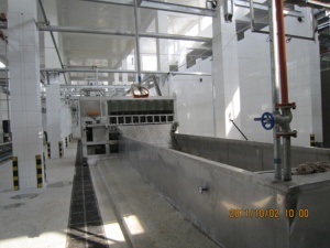 โรงฆ่าสัตว์โรงฆ่าสัตว์,อุปกรณ์การฆ่าหมูสำหรับโรงฆ่าสัตว์หว่าน - Product Image 6