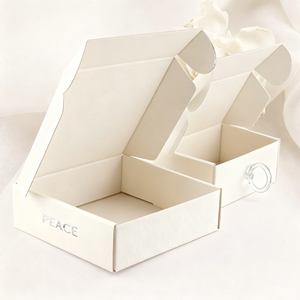 Boîtes de couleur ondulées imprimées double face personnalisées en usine Conception d'avion <span class=keywords><strong>avec</strong></span> fermeture à glissière pour emballage de <span class=keywords><strong>sous</strong></span>-vêtements Livraison express - Product Image 3