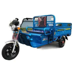 Factory Price Trike Roadster Tricycle Electric Pedicab