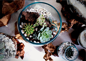 Verre brique Aquarium Table Plante Succulente Terrarium Géométrique Porte Intérieur Jardin Bâtiments Terrarium Boîte Plateau <span class=keywords><strong>En</strong></span> <span class=keywords><strong>Bois</strong></span> - Product Image 3