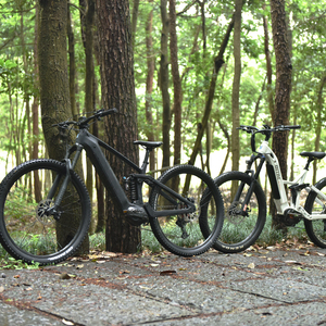 Vélo Électrique VTT à Cadre en Fibre avec Moteur Central 48V 500W Personnalisé Léger et Robuste pour la Ville - Product Image 1