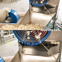 Industriële kettingaangedreven knoflookschilmachine, 600 kg/uur, kettingtype, knoflookschiller, knoflookzaadsplitser