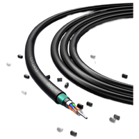 Haina GYTZA53 12-Core Single Mode Armored Fiber Optic Cable Flame Retardant Loose Tube Stranded FRP Communication Cables