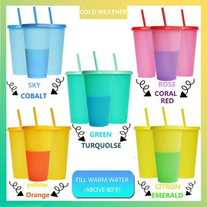 Venta Directa de Fábrica, Vaso de Plástico de Pared Simple de 750 ml con Tapa y Pajita, Apto para Alimentos, de PP - Product Image 2
