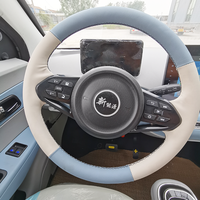 Grand écran multifonctionnel intérieur de luxe populaire de la voiture électrique adulte 60V