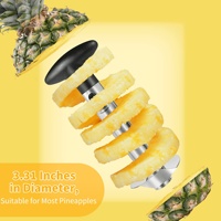 Hete Verkopende Roestvrijstalen Fruitgereedschappen Gebruiksvriendelijke Handmatige Ananasschiller Snijmachine Met Metalen Mes Abs Materiaal