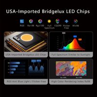 Lampe de bureau LED avec commande tactile et design moderne, pince réglable en hauteur, bras long pour la maison et le bureau