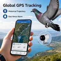 Traceur GPS intelligent écologique pour pigeons de compétition et d'entraînement, avec puce en plastique et boucle, positionnement en temps réel Bluetooth/WiFi