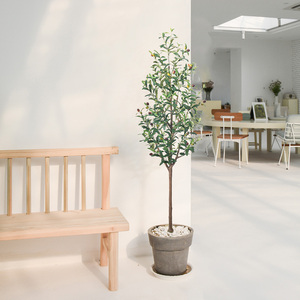 Fábrica Haihong, venta al por mayor, <span class=keywords><strong>olivo</strong></span> artificial de alta calidad, nuevo diseño, plástico falso para el hogar, centro comercial, <span class=keywords><strong>tienda</strong></span> - Product Image 4