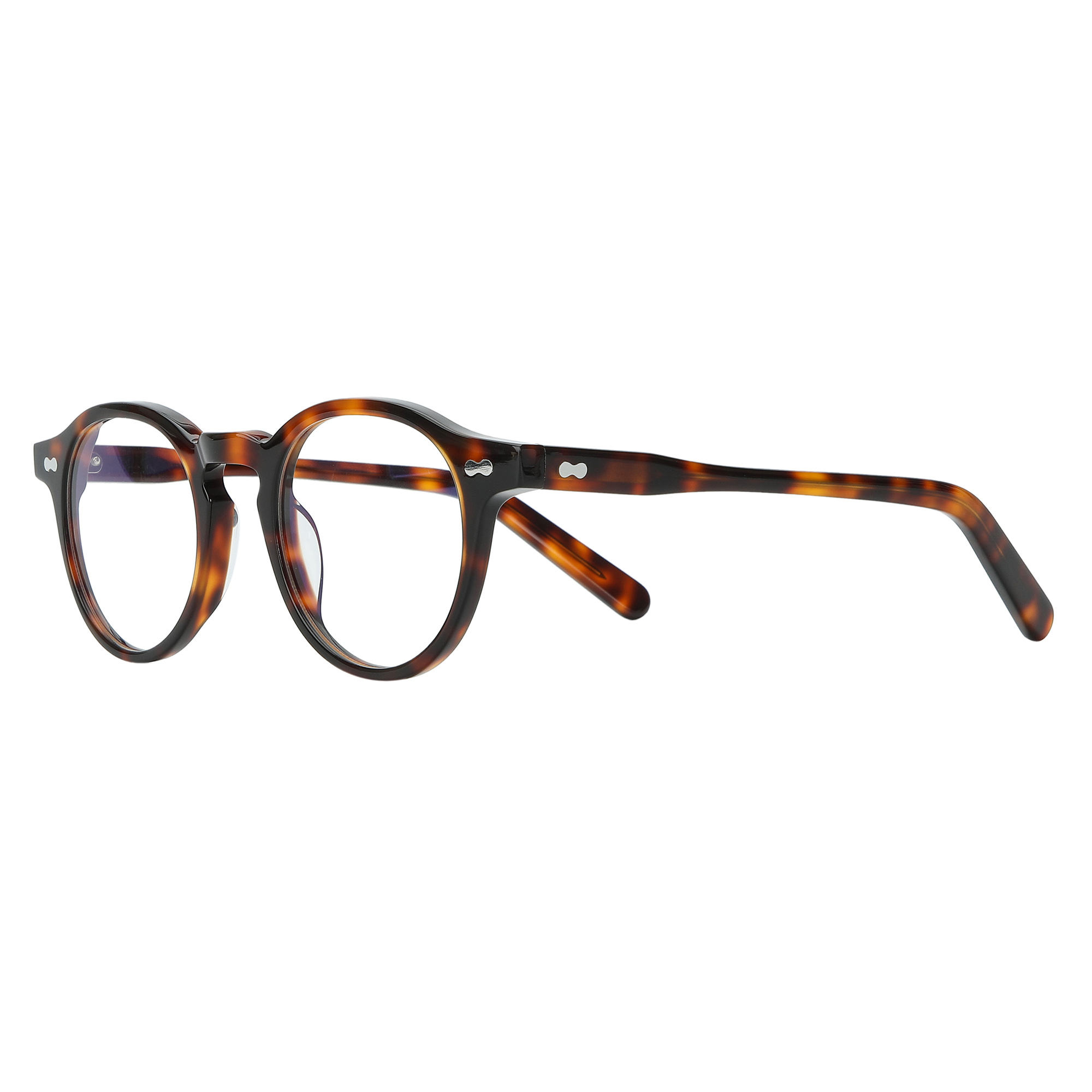 Hawksbill yellow brown02