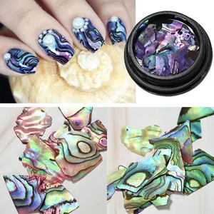 Hoge Kwaliteit Kleurrijke Onregelmatige Natuurlijke Zeeschelp Textuur Dunne Abalone Slice Pallitte Nail Art Pailletten Manicure Stickers Tip