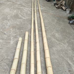 Venta al por mayor de tiras de bambú de patrón largo económicas postes de bambú gruesos naturales para la construcción de materias primas decorativas de bambú para agricultura - Product Image 2