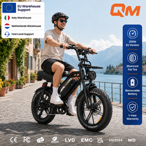 Bicicleta eléctrica urbana QMHEEL V20 Limited 48V con batería de litio, e-MTB, bicicleta eléctrica con llantas gruesas, venta al por mayor en Italia, almacén en la UE, B2B - Product Image 1