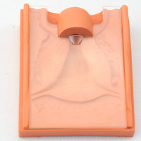 Simulador de anatomía del órgano reproductor femenino, modelo anatómico para la escuela de medicina, entrenamiento de colocación y extracción de DIU, silicona médica