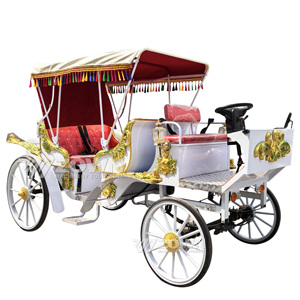 Grande calèche électrique sans chevaux pour passagers, véhicule de tourisme à finition personnalisée pour projets hôteliers et location commerciale - Product Image 3