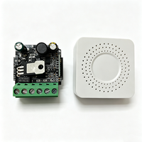 Module d'interrupteur mural intelligent Tuya LED avec variateur de lumière et télécommande, 2 voies, équipement électrique Wi-Fi pour Alexa Google Home