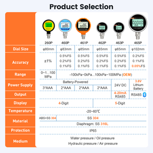 <span class=keywords><strong>Manomètre</strong></span> numérique électrique Moray ME460 Series OBM ODM à affichage 5 chiffres, haute précision, en acier inoxydable - Product Image 2