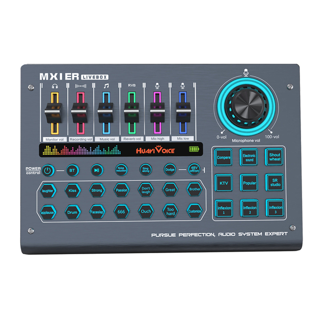 Factory OEM Live Stream Sound Card Audio Interface 48V XLR Microphone With Electronic Sound and Voice Changer