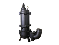 Pompes à eau immergées électriques de haute qualité CNP WQ en acier inoxydable pour les eaux usées