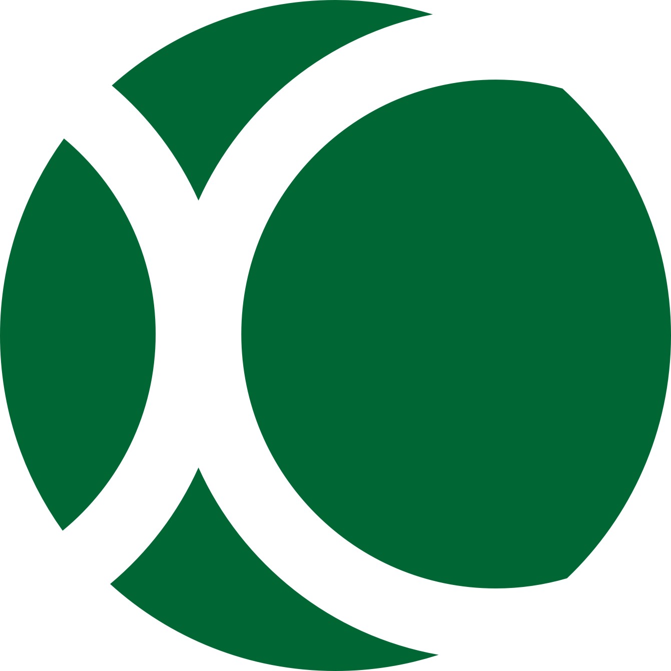 Wenzhou Chengxuan Packaging Co., Ltd. logo