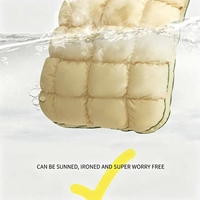 Vente directe usine : Insert de coussin Ananas, rembourrage en fibre de polyester ultra-douce